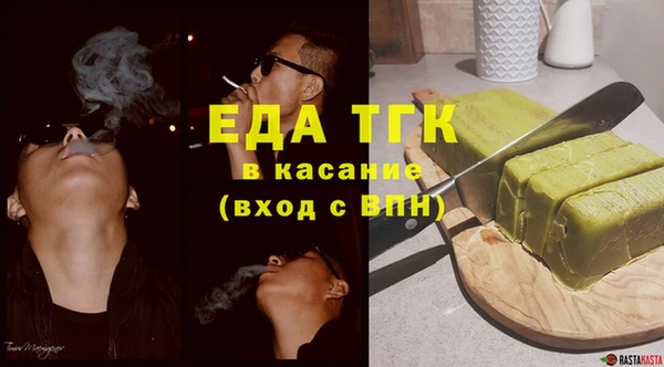 индика Бородино