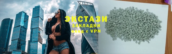 индика Бородино