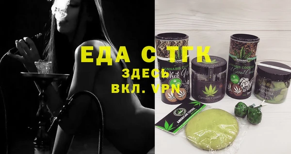 индика Бородино