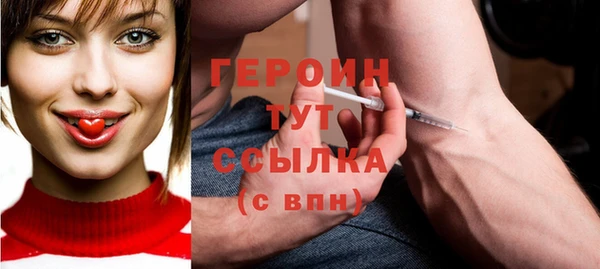 индика Бородино