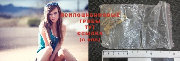 индика Бородино