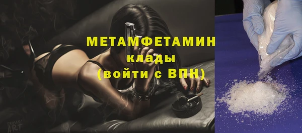 индика Бородино