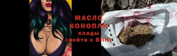 индика Бородино