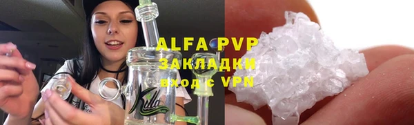 индика Бородино