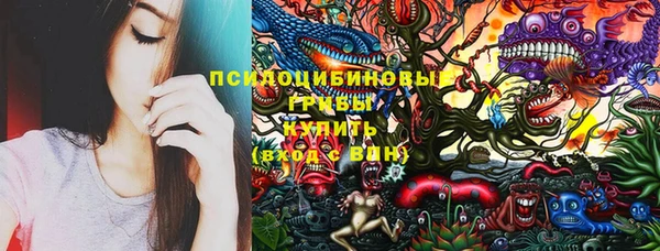 индика Бородино