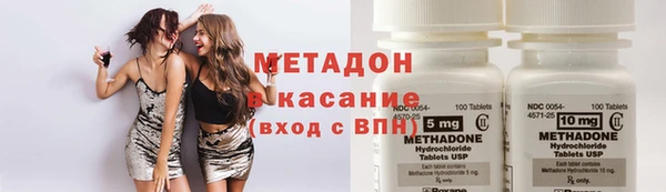 индика Бородино