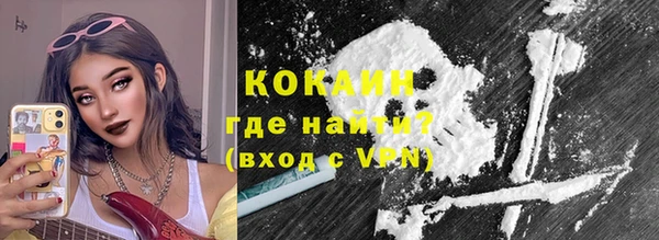 индика Бородино