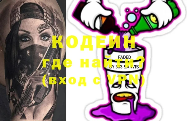 индика Бородино