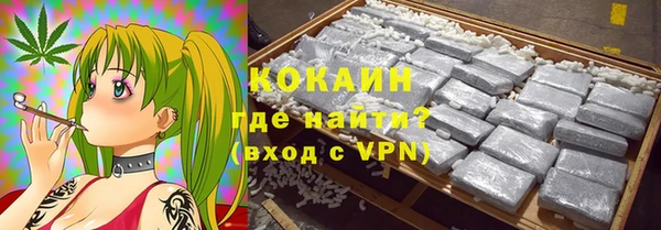индика Бородино