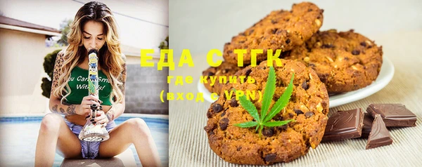 индика Бородино