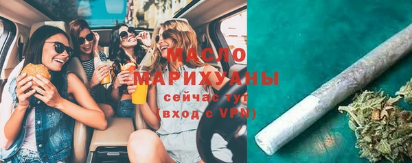 индика Бородино