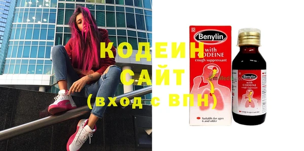 индика Бородино