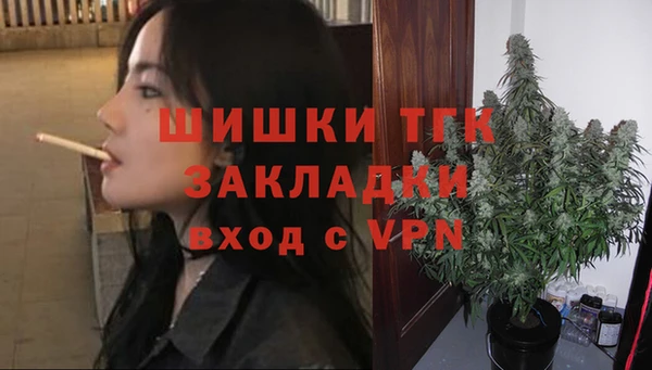 индика Бородино