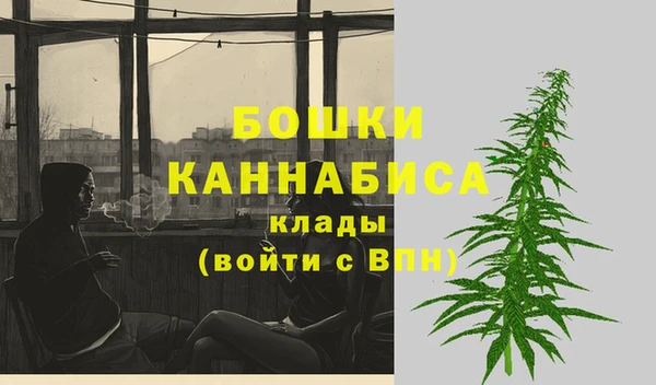 индика Бородино