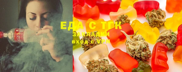индика Бородино